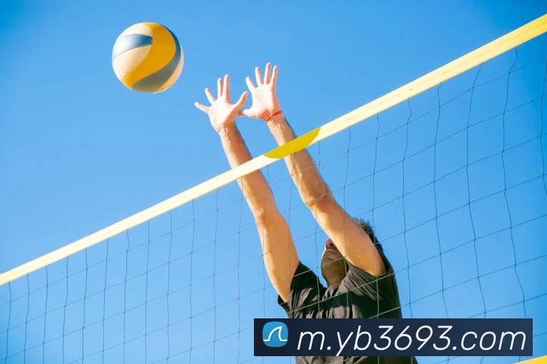 bob半岛体育官网平台平台生态图