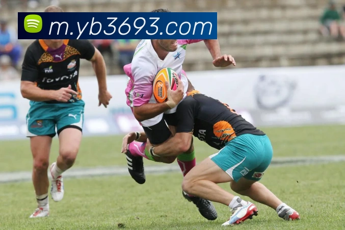 bob半岛体育官网平台APP 封面图